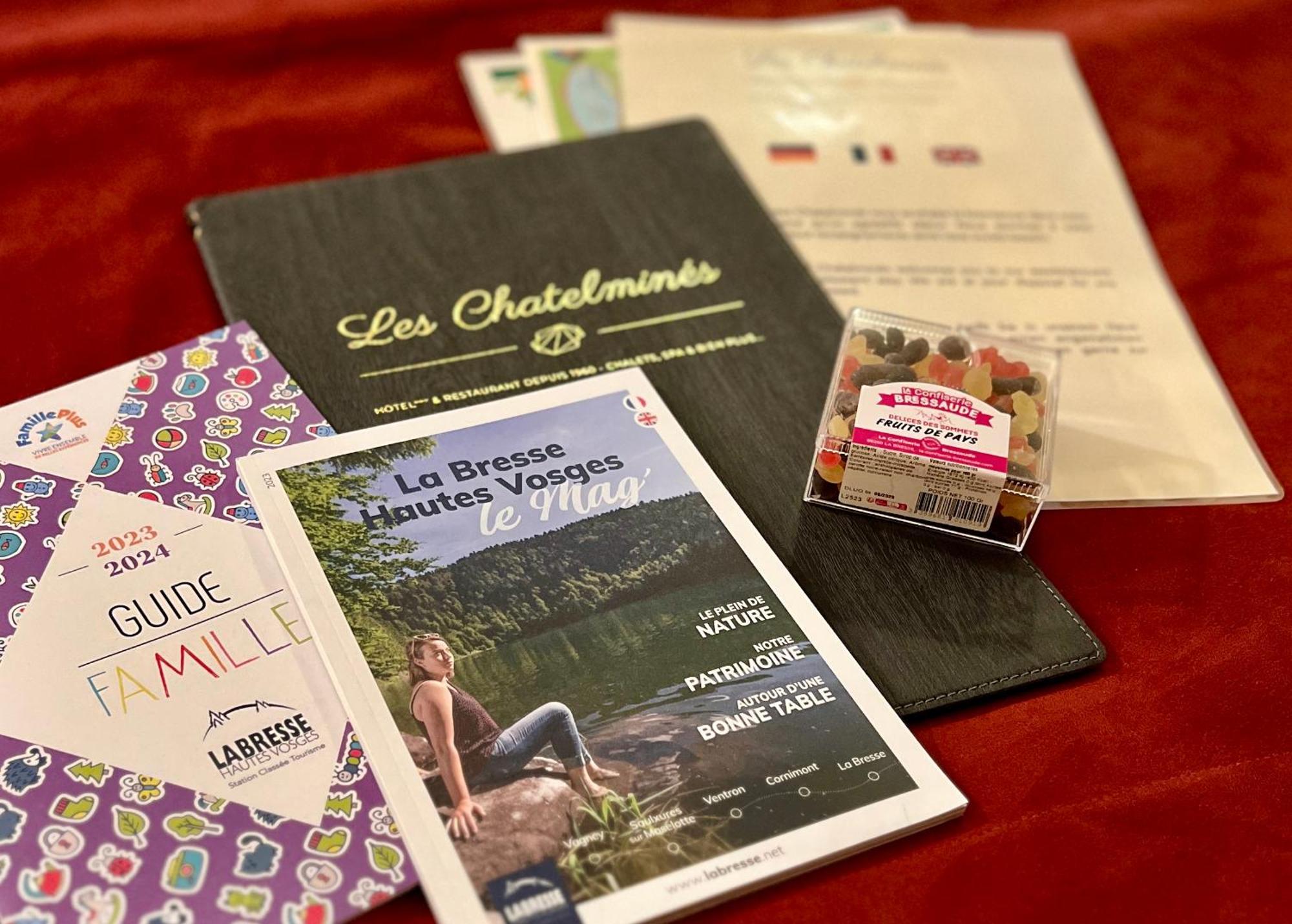 Logis Hotel, Chalets Et Restaurant Les Chatelmines La Bresse