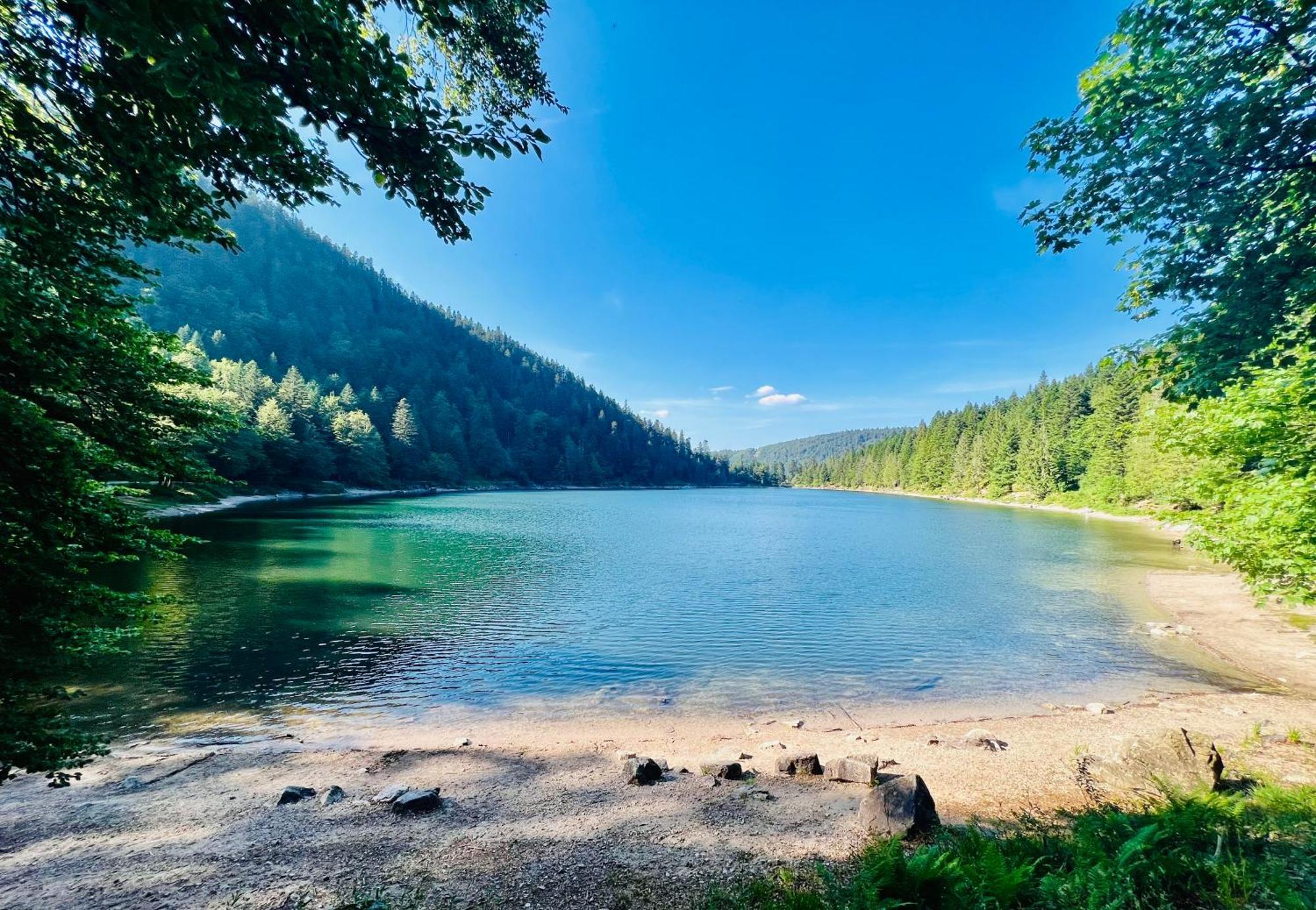 Les Chatelminés La Bresse