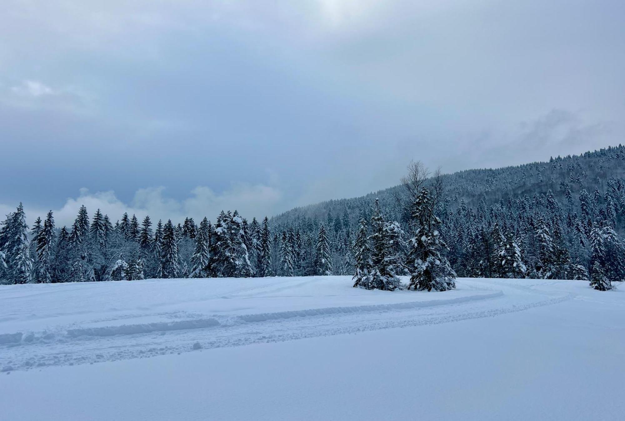 Hotel Logis Hotel, Chalets Et Restaurant Les Chatelmines